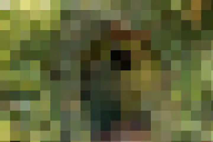 Elsenwas 20 Oirschot thumbnail 29