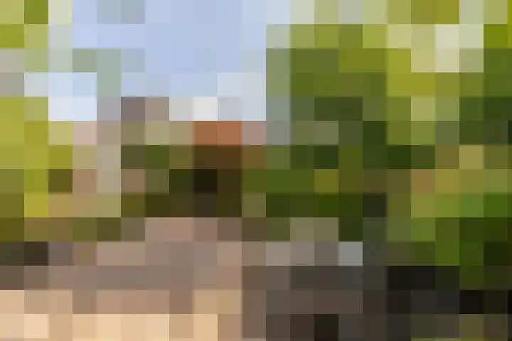 Elsenwas 20 Oirschot thumbnail 30