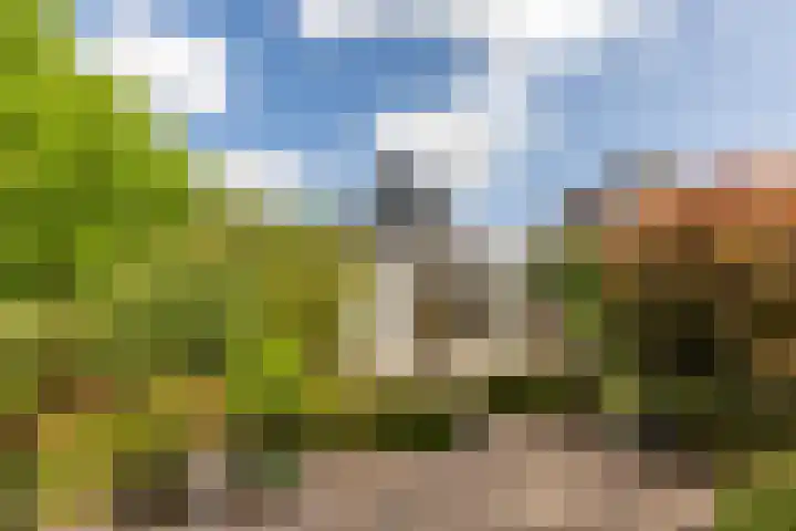Elsenwas 20 Oirschot thumbnail 31