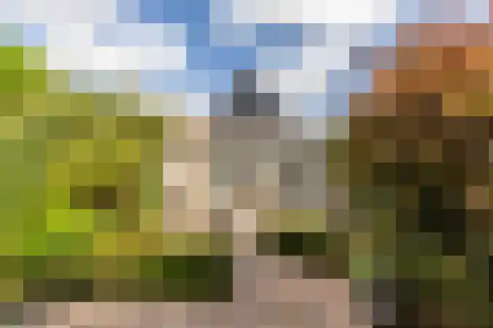 Elsenwas 20 Oirschot thumbnail 32