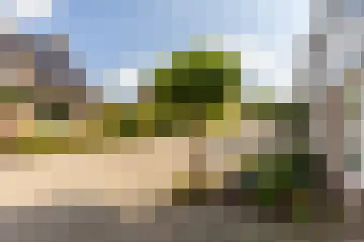Elsenwas 20 Oirschot thumbnail 33