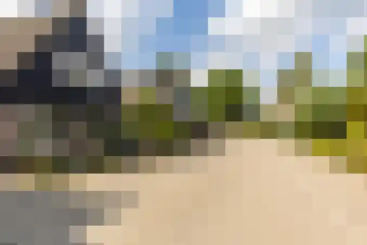 Elsenwas 20 Oirschot thumbnail 35