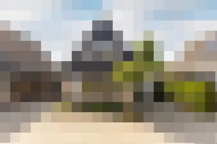 Elsenwas 20 Oirschot thumbnail 5