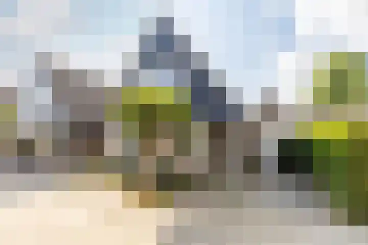 Elsenwas 20 Oirschot thumbnail 6