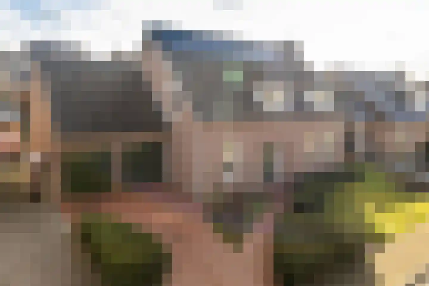Elserveldstraat 10 Elsloo thumbnail 11