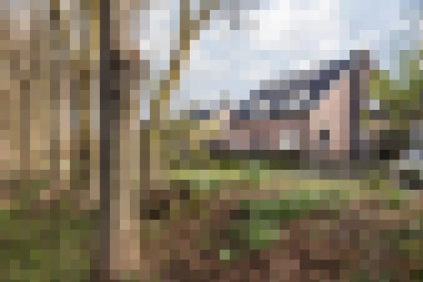 Elserveldstraat 10 Elsloo thumbnail 16