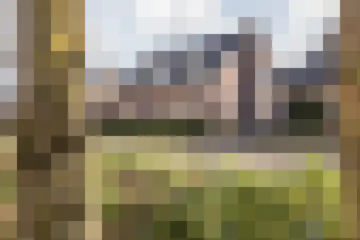 Elserveldstraat 10 Elsloo thumbnail 17