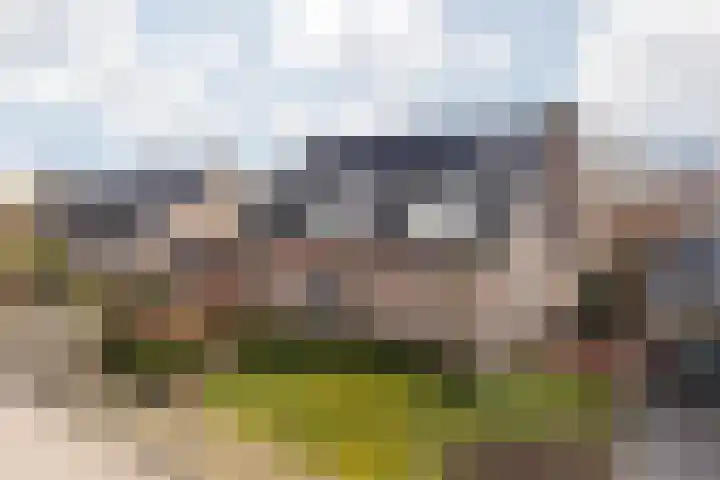 Elserveldstraat 10 Elsloo thumbnail 18
