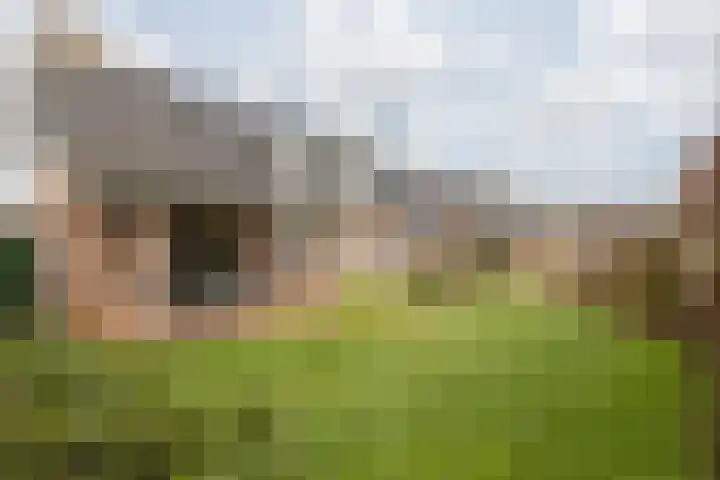 Elserveldstraat 10 Elsloo thumbnail 4