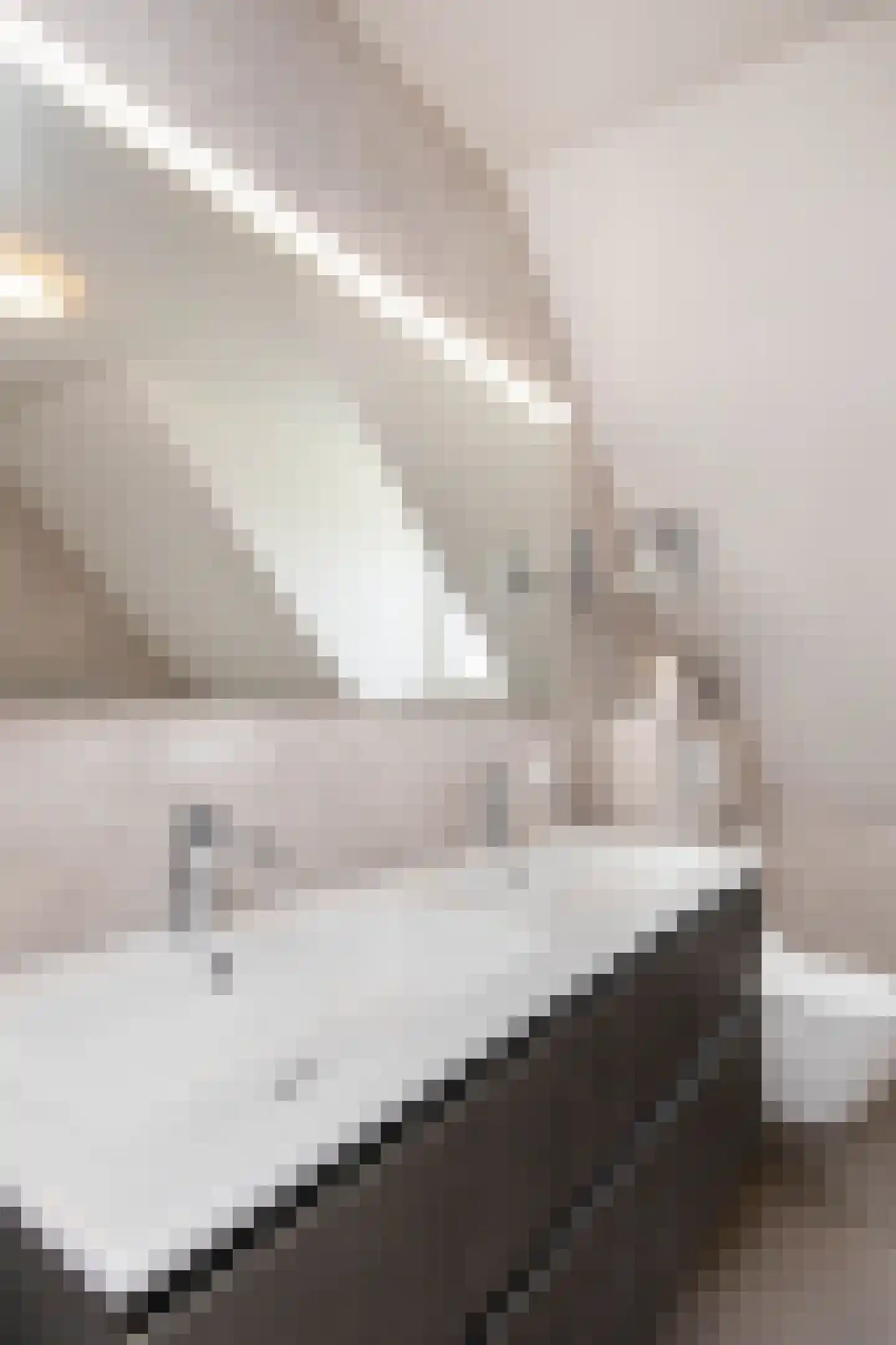 Elserveldstraat 10 Elsloo thumbnail 45