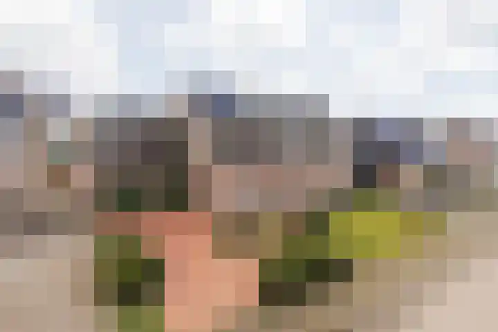 Elserveldstraat 10 Elsloo thumbnail 5