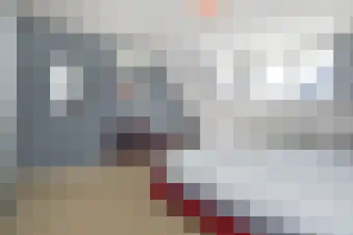 Elserveldstraat 10 Elsloo thumbnail 52