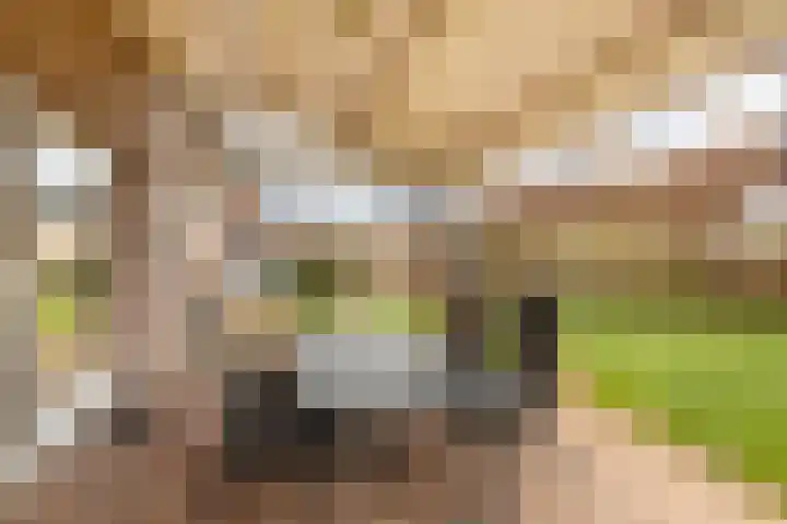 Elserveldstraat 10 Elsloo thumbnail 63