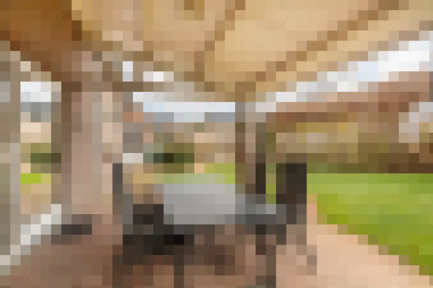 Elserveldstraat 10 Elsloo thumbnail 63