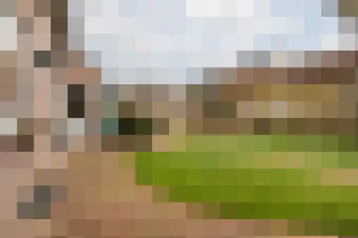 Elserveldstraat 10 Elsloo thumbnail 64