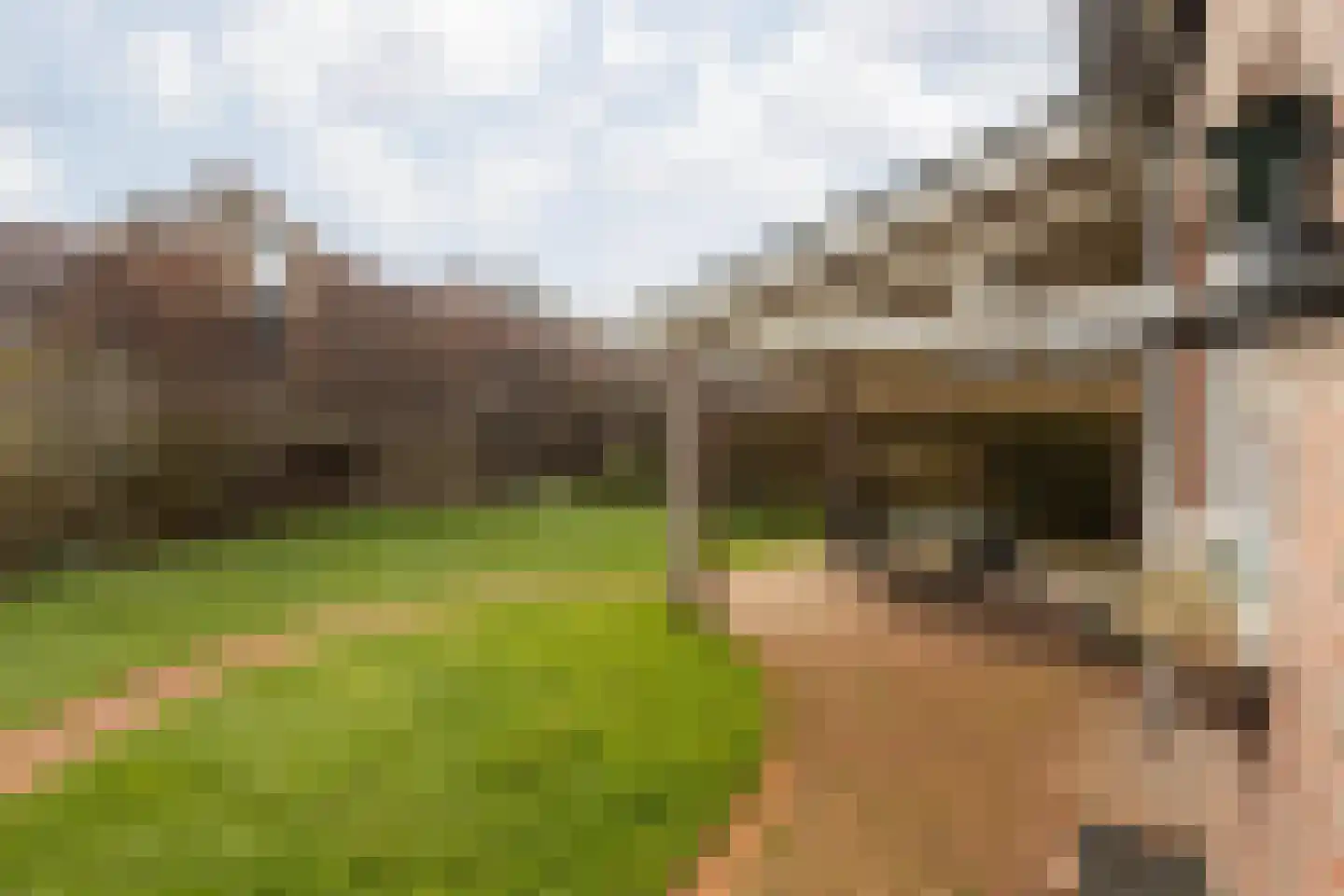 Elserveldstraat 10 Elsloo thumbnail 67