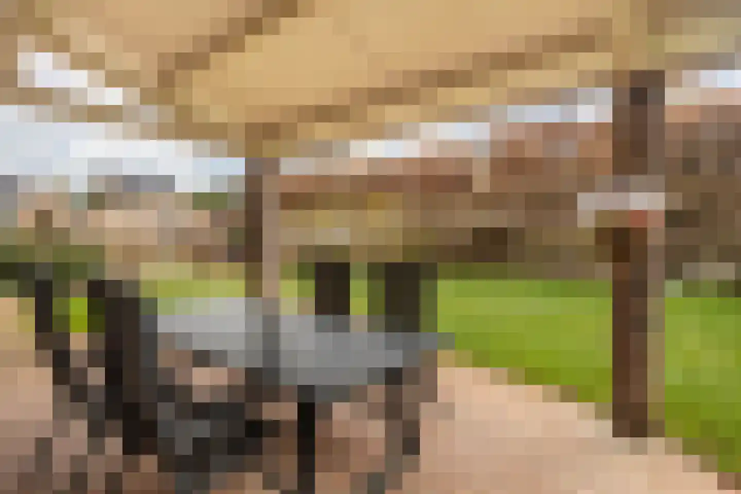Elserveldstraat 10 Elsloo thumbnail 69