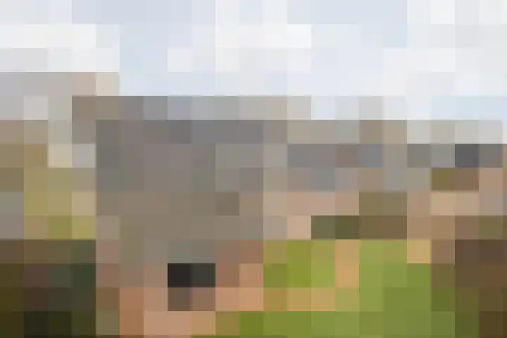 Elserveldstraat 10 Elsloo thumbnail 71