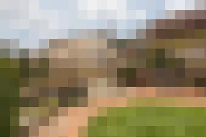 Elserveldstraat 10 Elsloo thumbnail 76