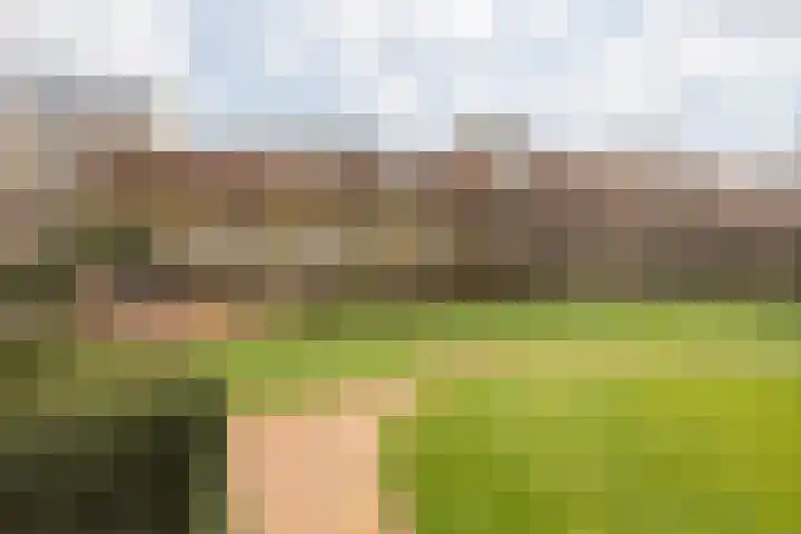 Elserveldstraat 10 Elsloo thumbnail 77