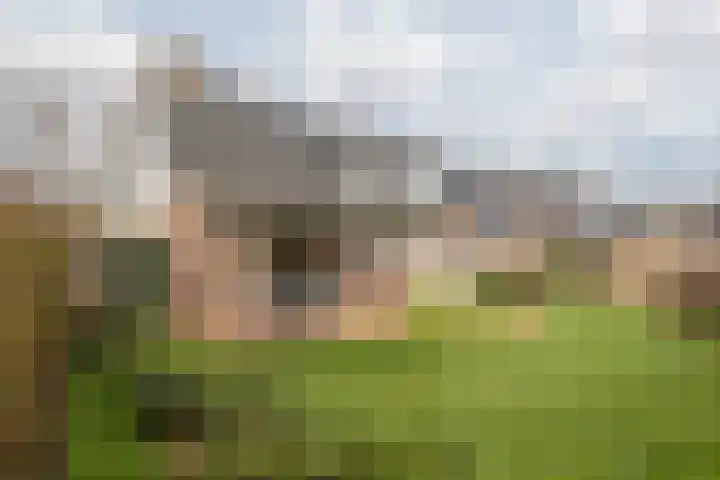Elserveldstraat 10 Elsloo thumbnail 78