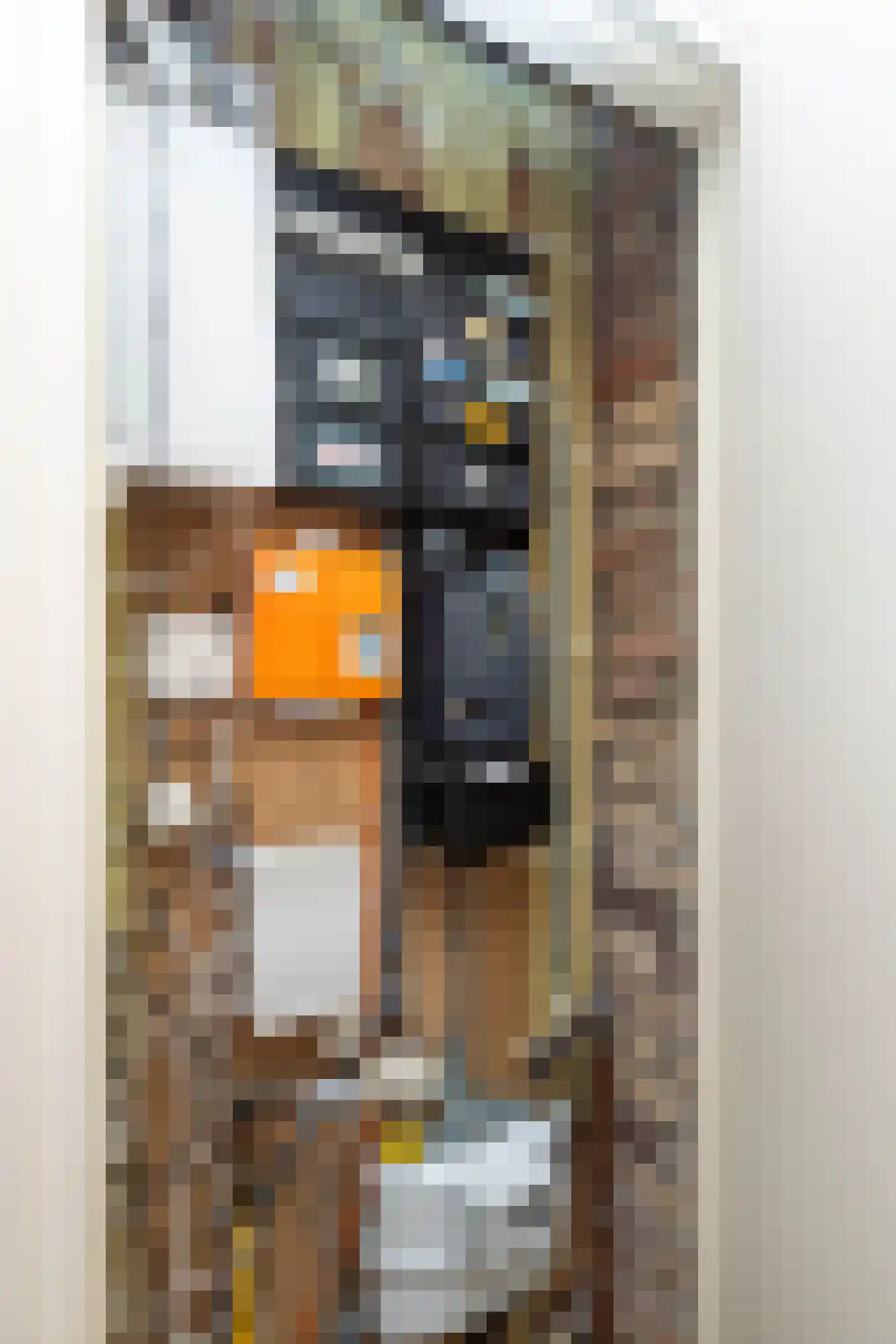 Elserveldstraat 10 Elsloo thumbnail 82