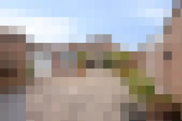 Elserveldstraat 38 Elsloo thumbnail 24
