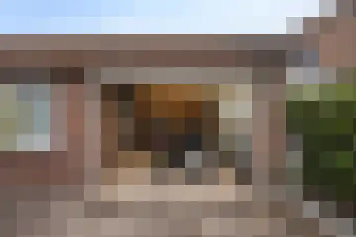 Elserveldstraat 38 Elsloo thumbnail 25