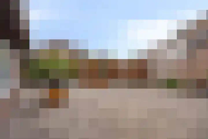 Elserveldstraat 38 Elsloo thumbnail 26