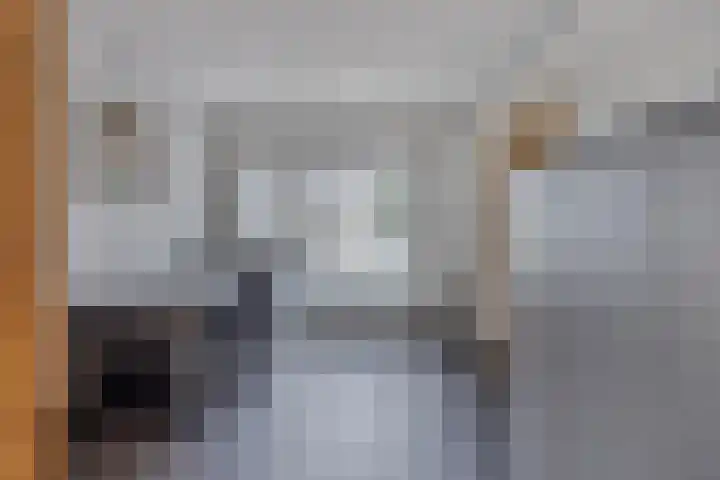 Elserveldstraat 38 Elsloo thumbnail 30