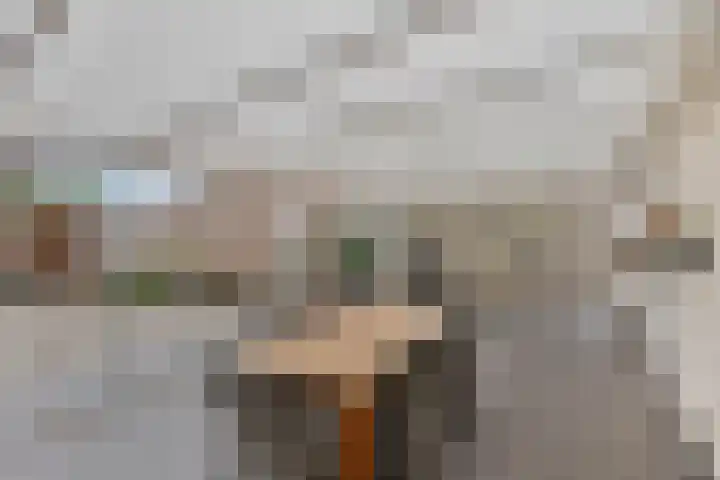 Elserveldstraat 38 Elsloo thumbnail 4