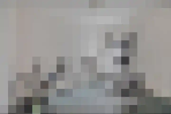 Elserveldstraat 38 Elsloo thumbnail 7