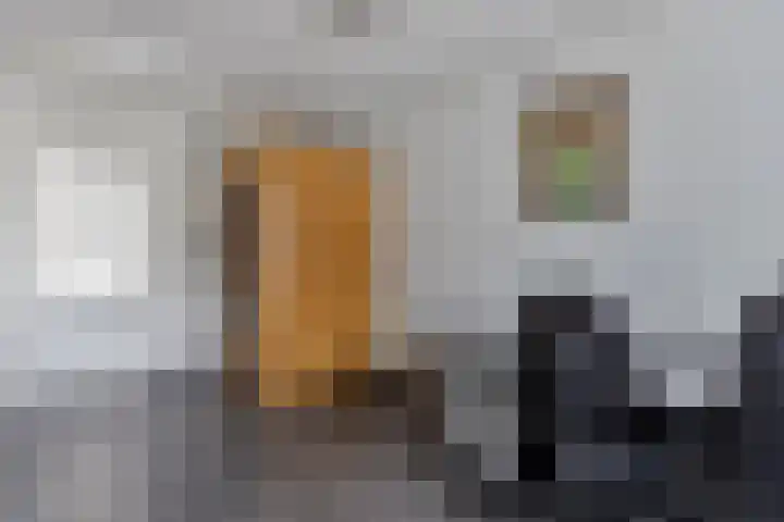 Elserveldstraat 38 Elsloo thumbnail 8