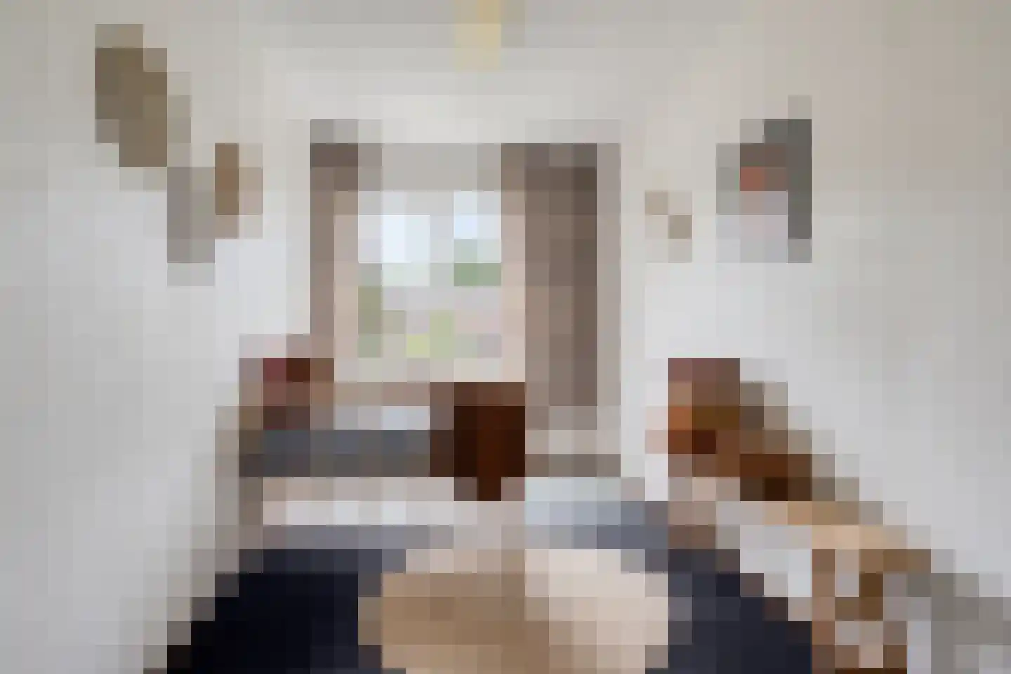 Elshof 23 Veendam thumbnail 23