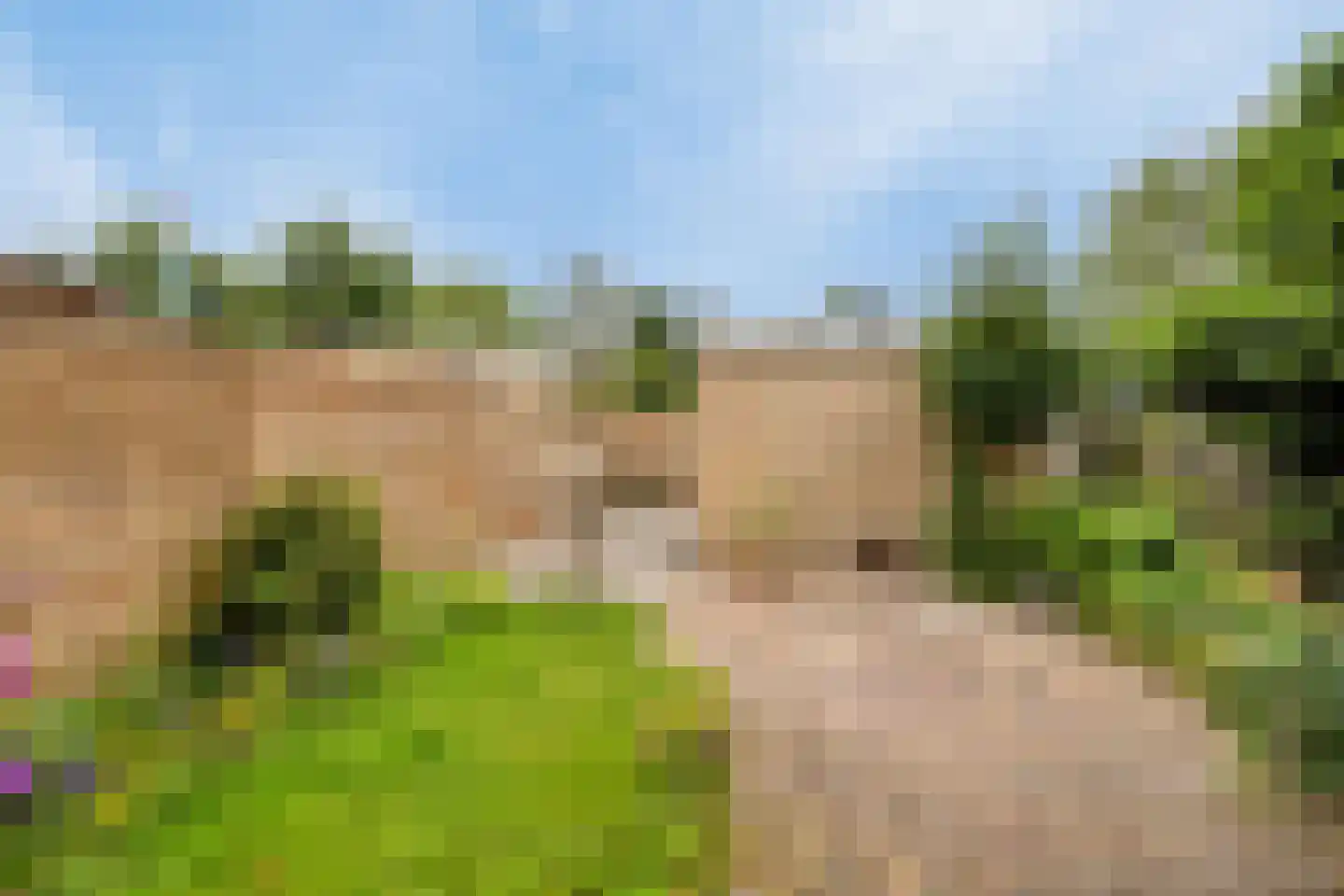 Elshof 23 Veendam thumbnail 30
