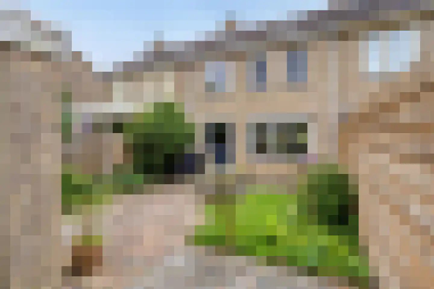 Elshof 23 Veendam thumbnail 32