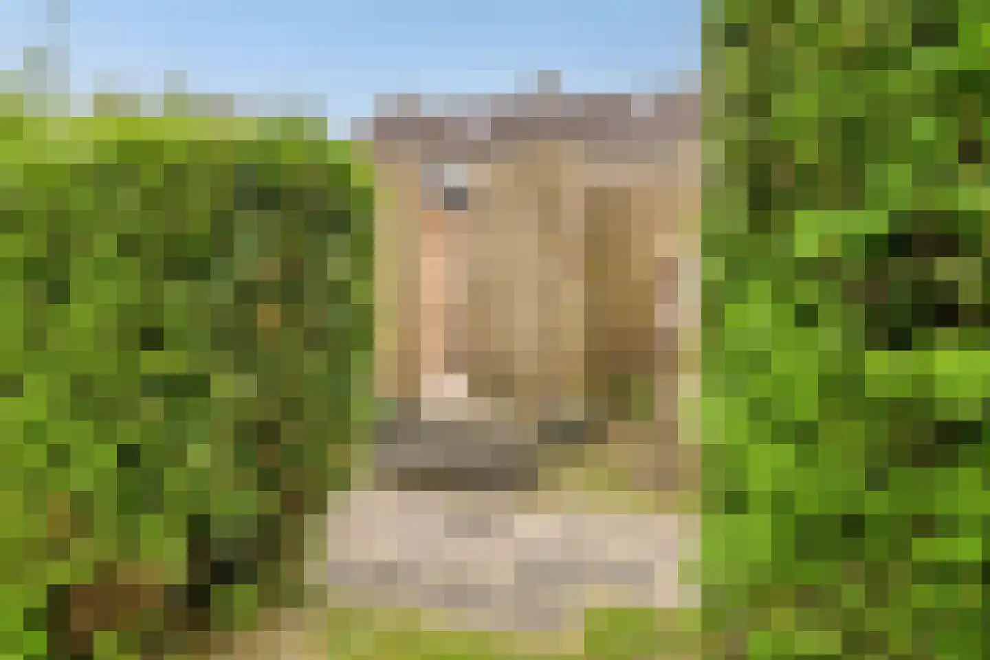 Elshof 23 Veendam thumbnail 36
