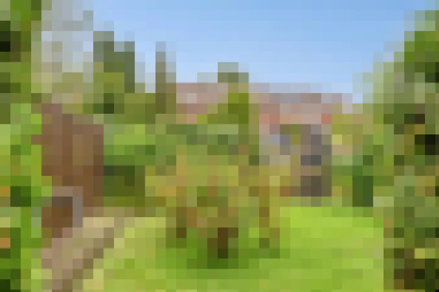 Elshof 23 Veendam thumbnail 37