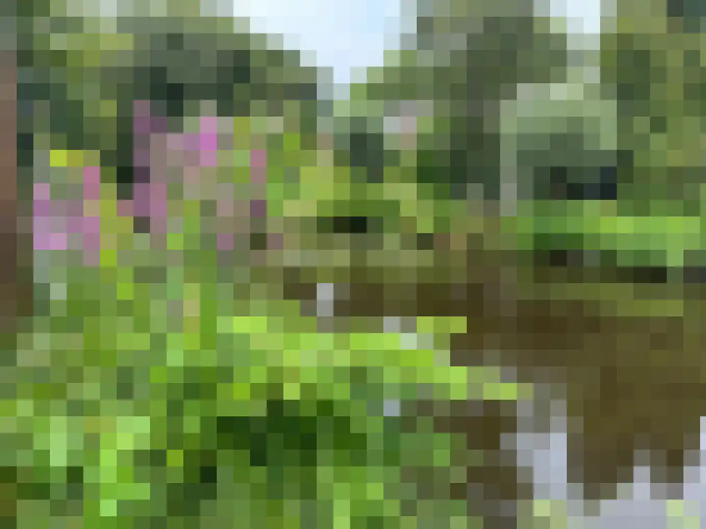 Elshof 23 Veendam thumbnail 38