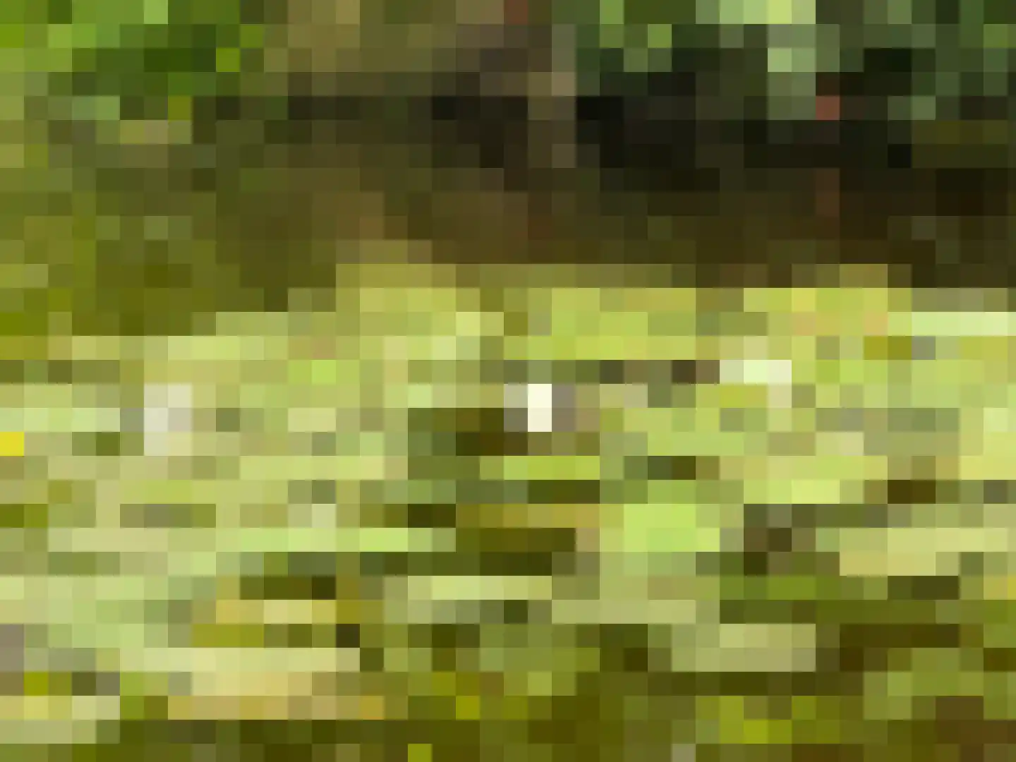 Elshof 23 Veendam thumbnail 4