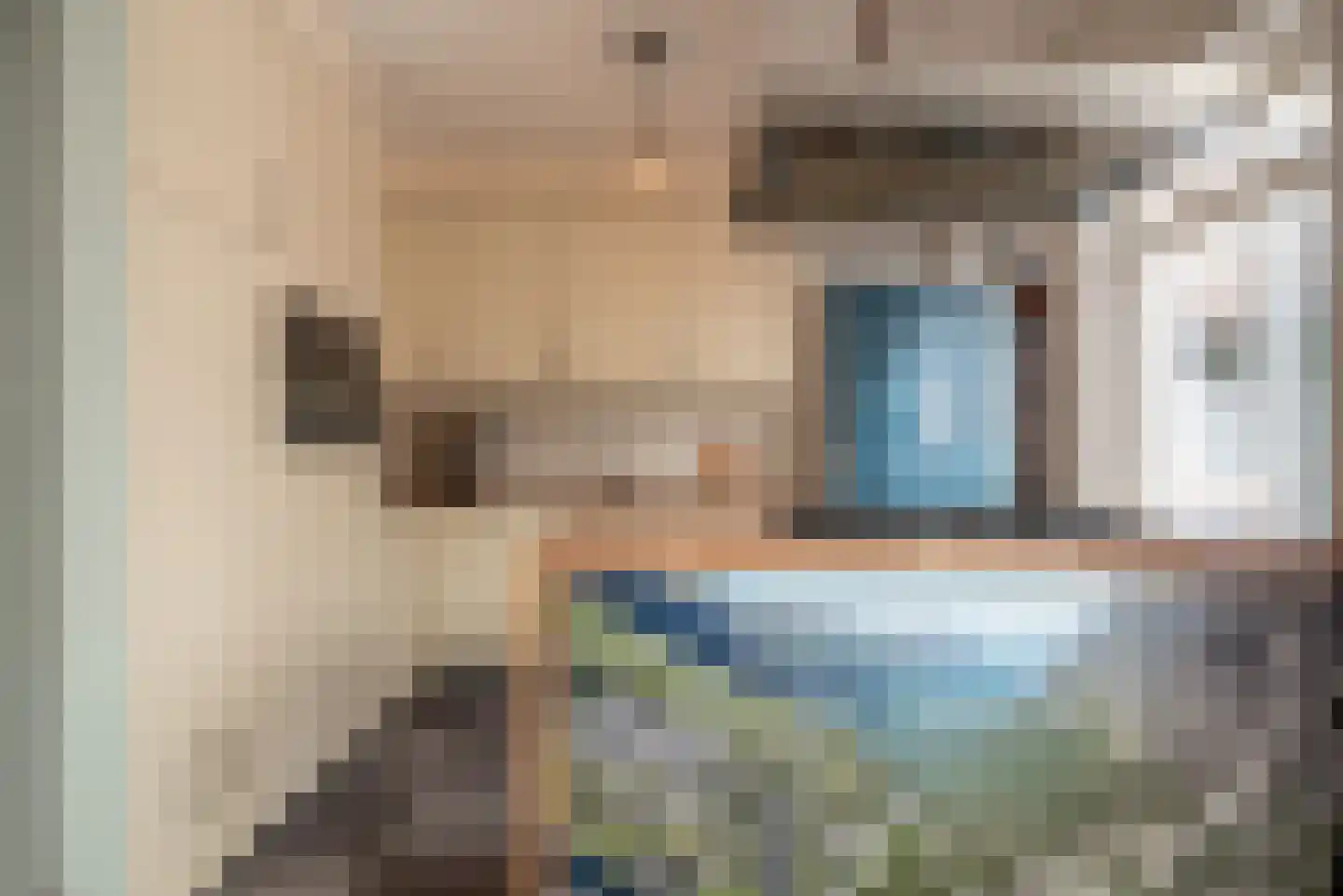 Elshof 3 Onnen thumbnail 26