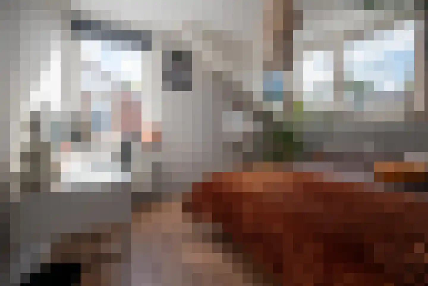 Elshof 3 Onnen thumbnail 36