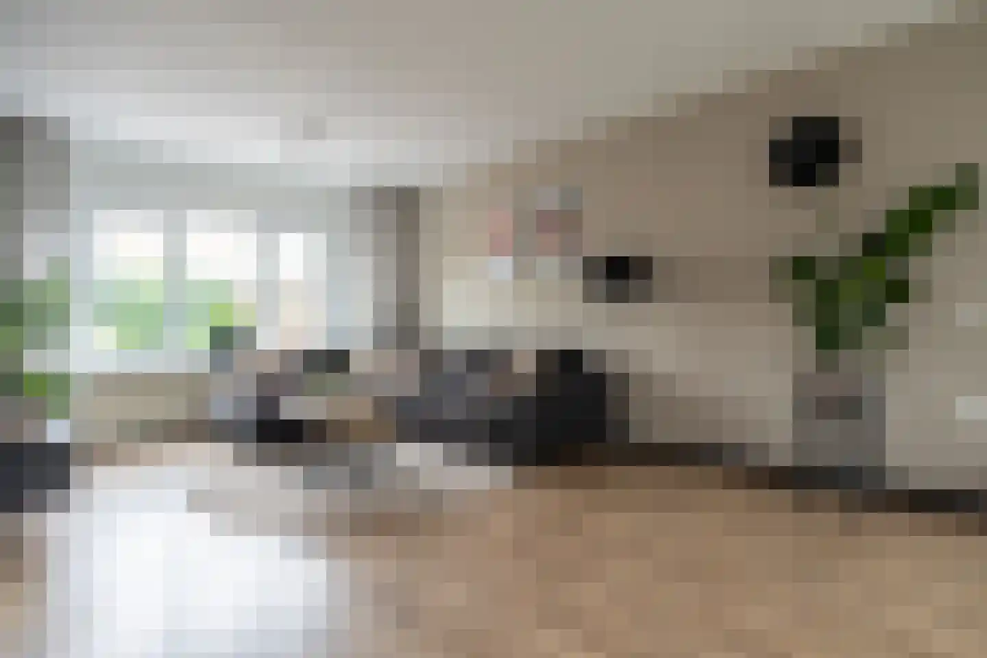 Elshof 37 Veendam thumbnail 8