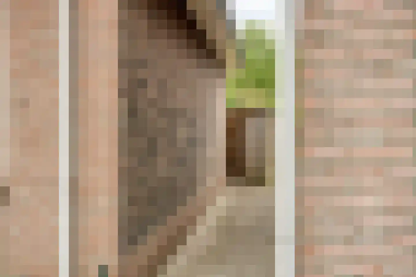Elshofstraat 75 Enschede thumbnail 28