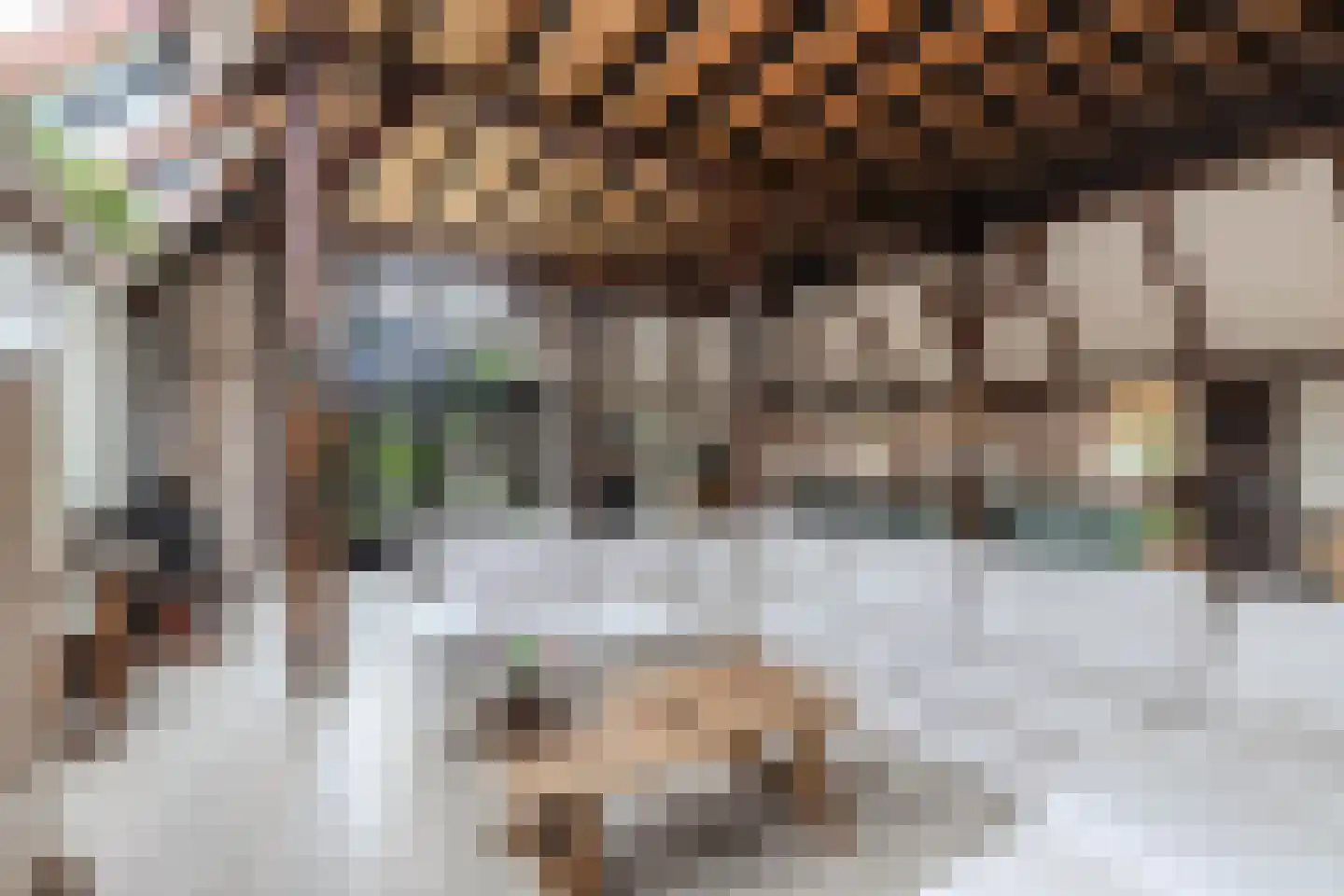 Elshoutbuurt 5 Lollum thumbnail 20