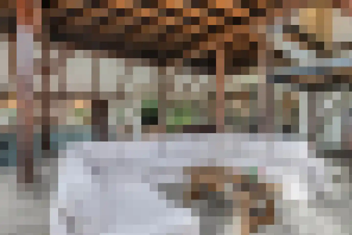Elshoutbuurt 5 Lollum thumbnail 21