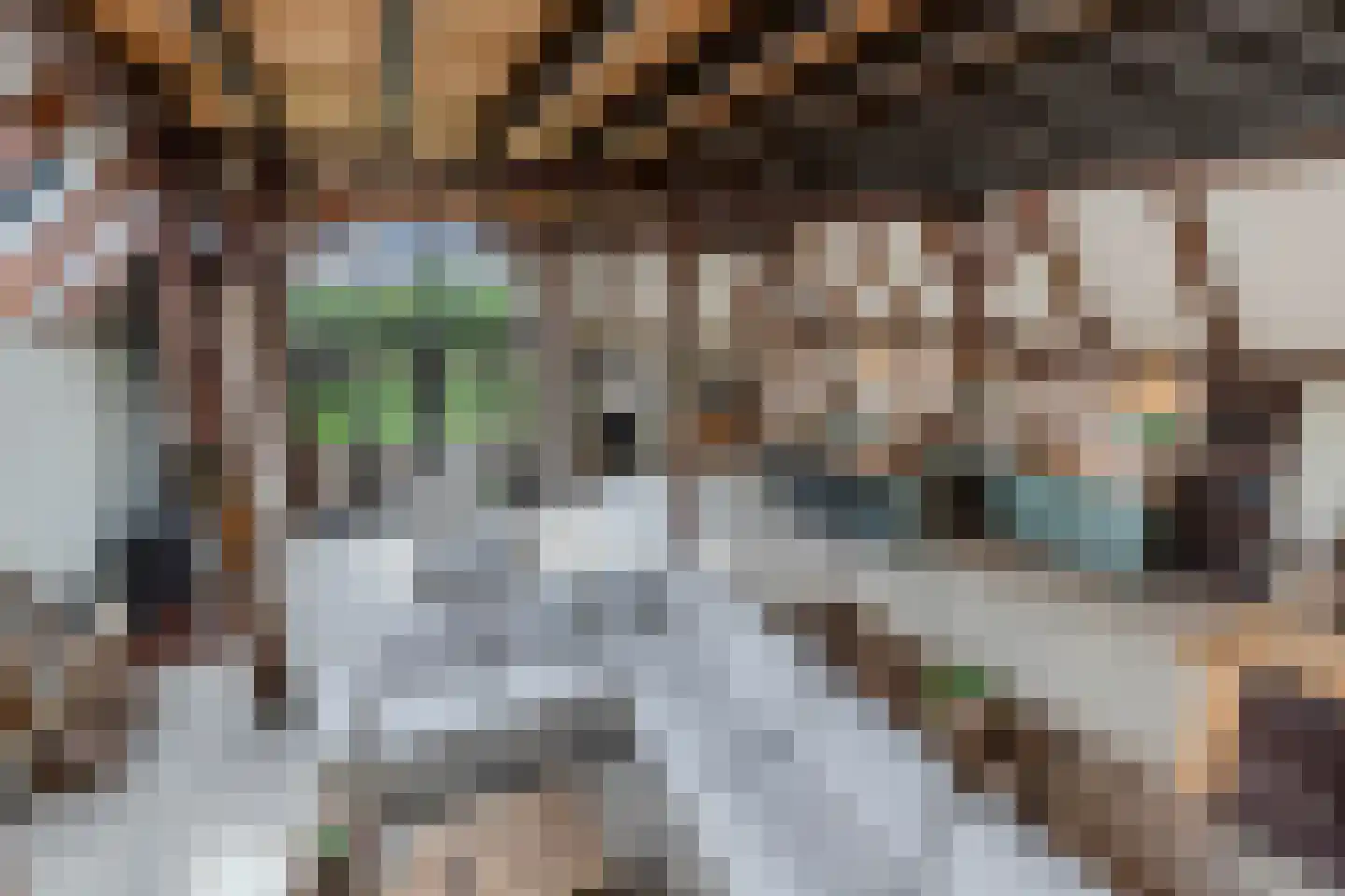 Elshoutbuurt 5 Lollum thumbnail 4