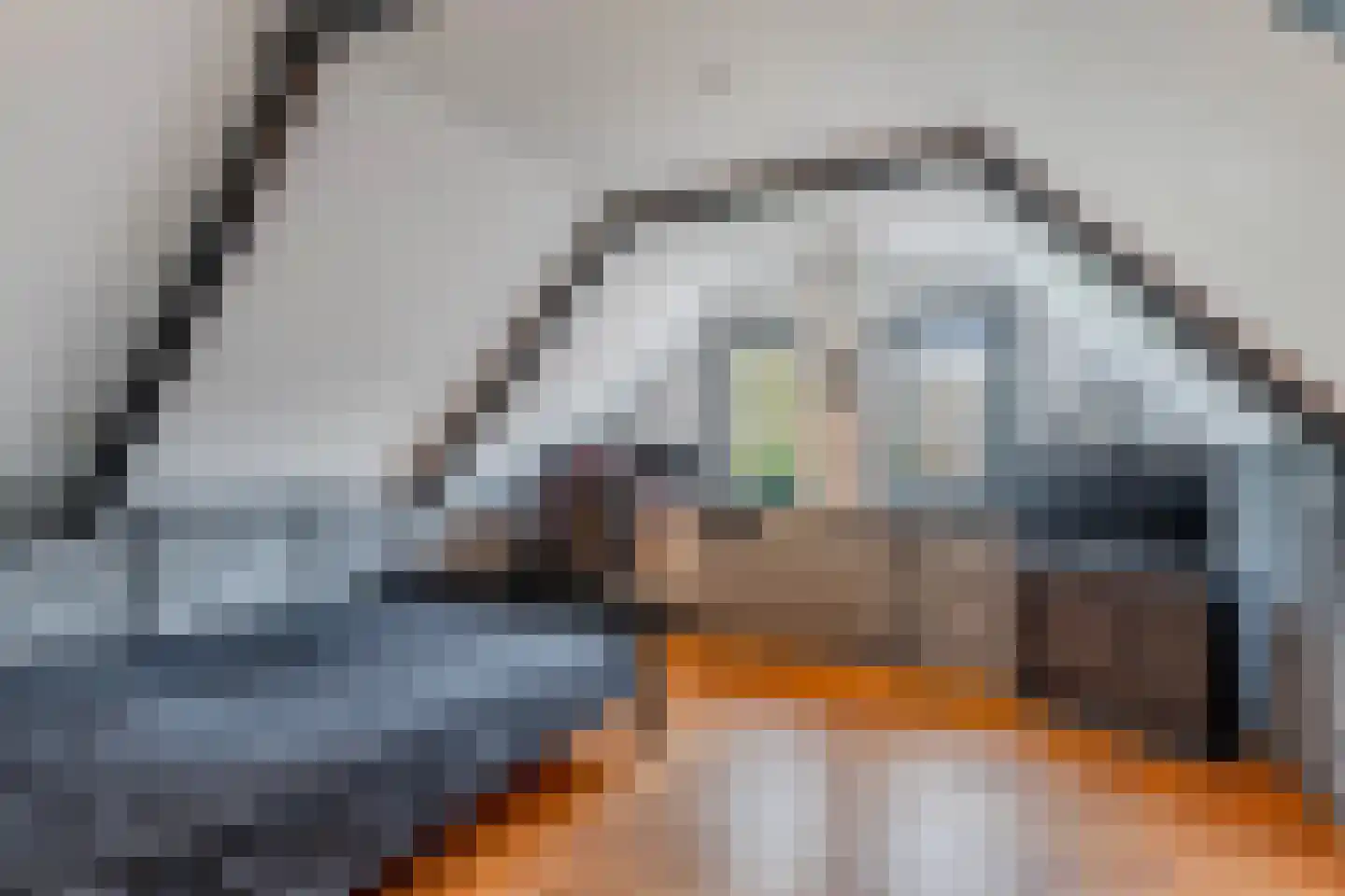 Elshoutbuurt 5 Lollum thumbnail 41