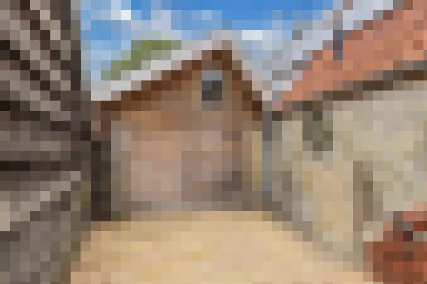 Elshoutbuurt 5 Lollum thumbnail 46