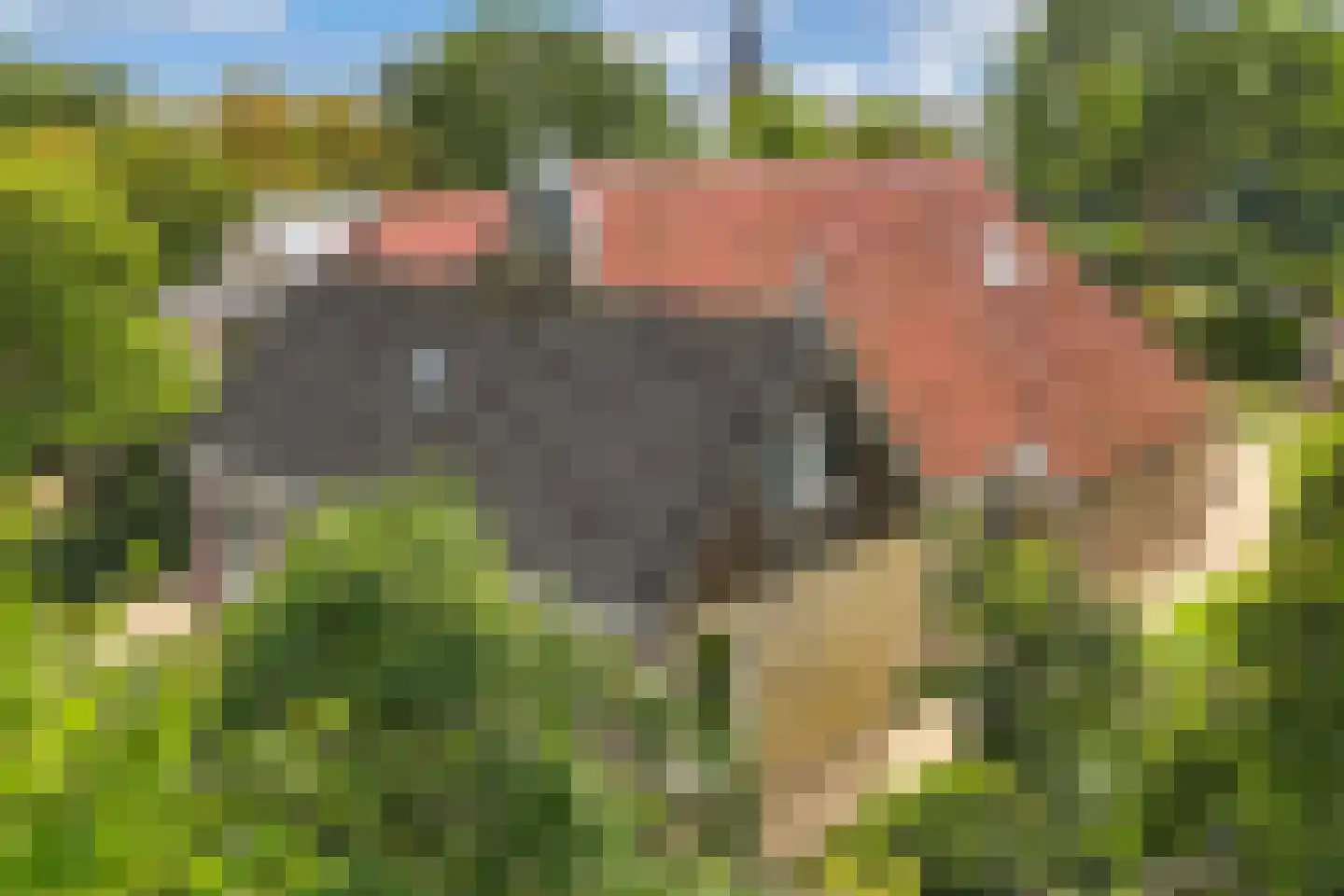 Elshoutbuurt 5 Lollum thumbnail 63